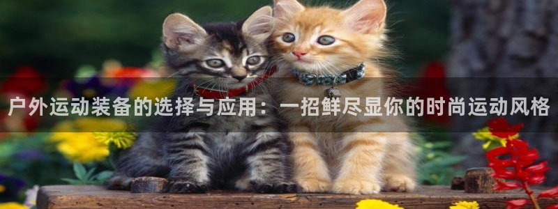 富邦商务娱乐会所