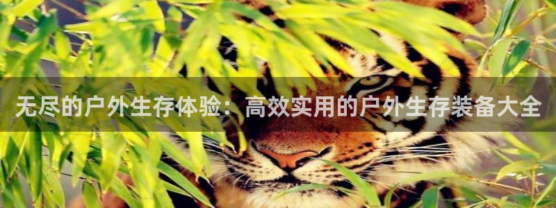富邦娱乐-真博百楽