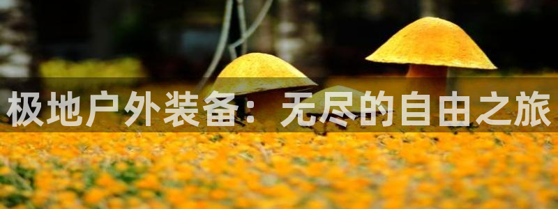 富邦娱乐澳门娱乐