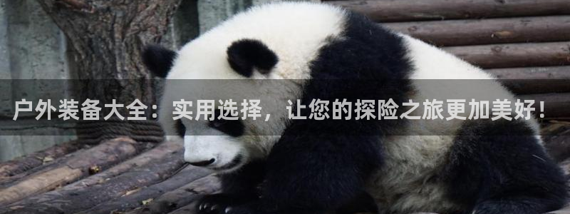 富邦娱乐 富邦娱乐平台