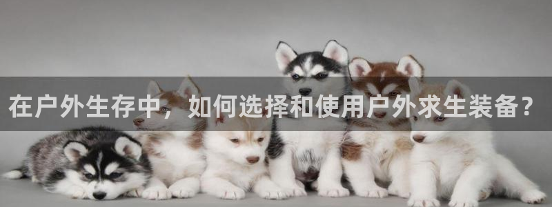 富邦娱乐老品牌