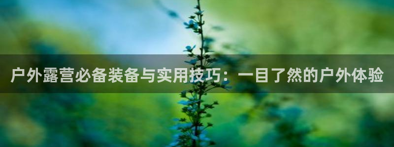 富邦娱乐线路