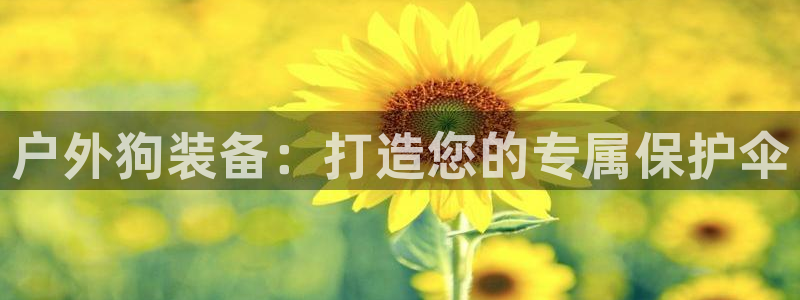 富邦酒店有娱乐场所吗