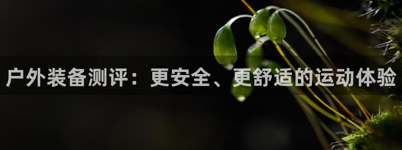 富邦娱乐线路检测