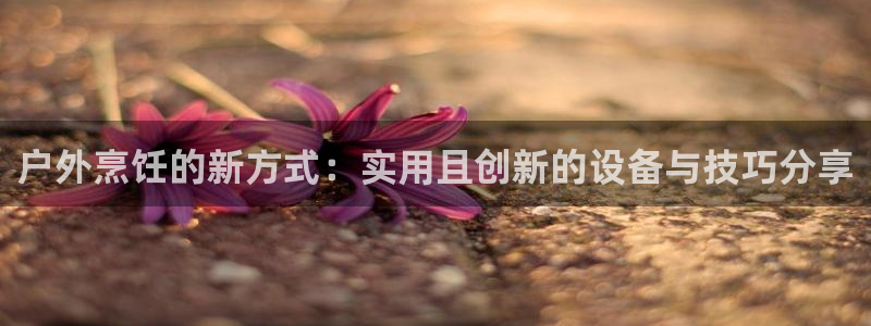 富邦娱乐 果敢锦海