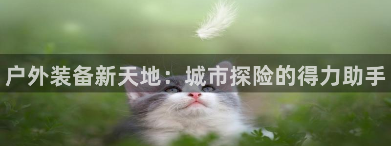 富邦娱乐app的三个版本