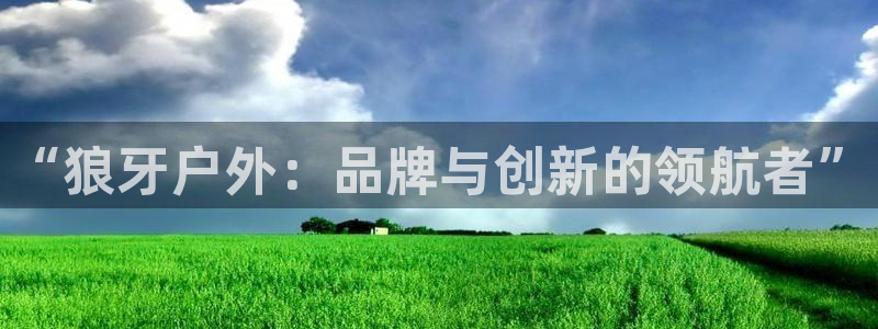 上海邦富娱乐