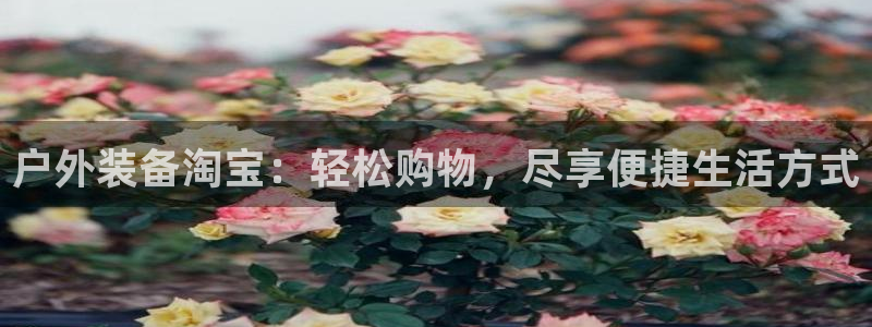 富邦娱乐网