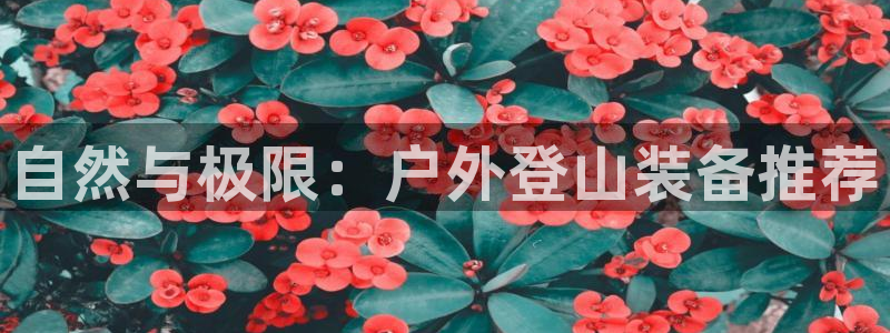 富邦娱乐彩票最新地址